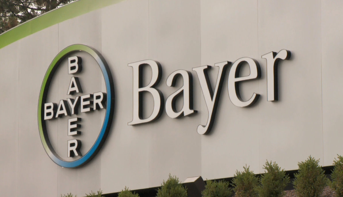 德国化工巨头拜耳公司(bayer  ag)本周二(9月6日)证实,将美国最大种子