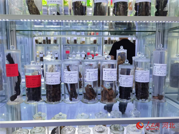 一粒“中药”如何叩开“世界之门”?(图2) 一粒“中药”如何叩开“世界之门”?(图2)