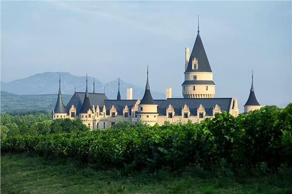 俞敏洪打卡张裕，现场“扛桶”种草了什么？(图5)