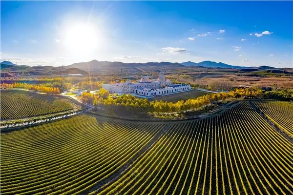 俞敏洪打卡张裕，现场“扛桶”种草了什么？(图2)