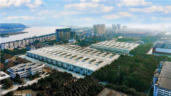 舍得酒业韧性生长的2025年：精益运营筑基，渠道革新增效，经营质量持续改善(图2)