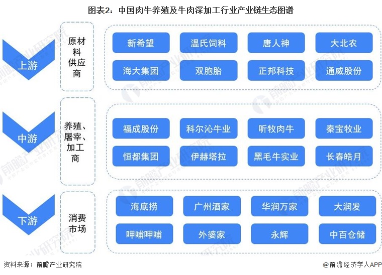 肉牛养殖及牛肉深加工行业产业链区域热力图:东部地区较为集中下图