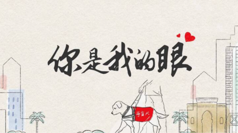 点亮光明之路：新瑞鹏集团九年公益，守护导盲犬健康