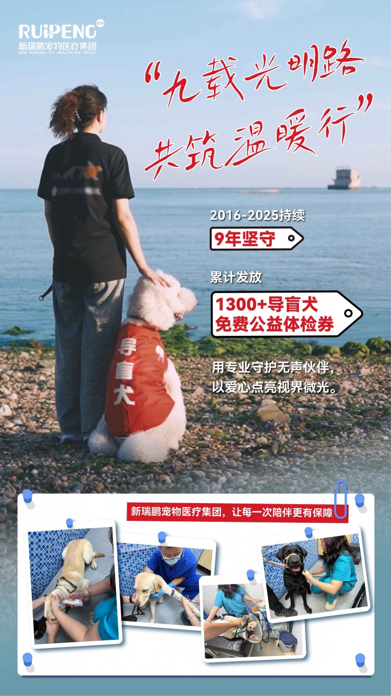 点亮光明之路：新瑞鹏集团九年公益，守护导盲犬健康