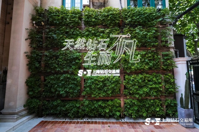 牛策略 |天然钻石市场回暖：稀缺性、保值性与情感价值成投资新焦点-牛策略-股票配资,实盘开户,港股美股炒股,杠杆投资全覆盖