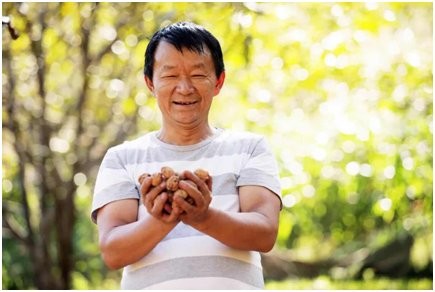 践行乡村振兴战略,服务实体经济要找准着力点