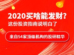 2020���Ͷ�ʲ���