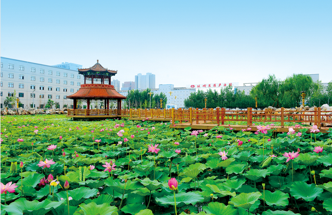 价值重估：中药创新药的以岭范式与社会意义(图3)