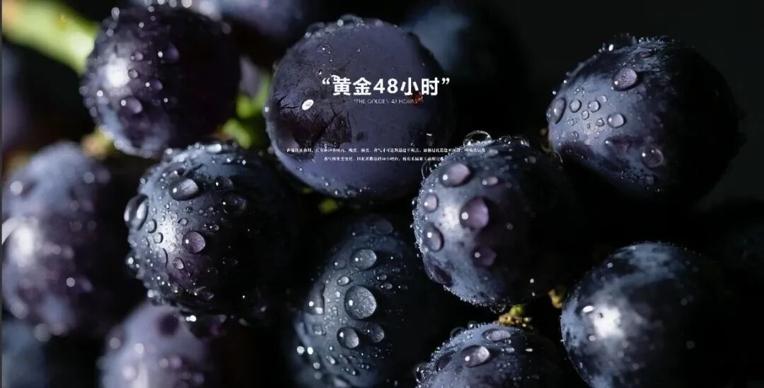 长歌AI葡萄酒体验中心开放！偏甜葡萄酒纷纷“涨停”(图18)