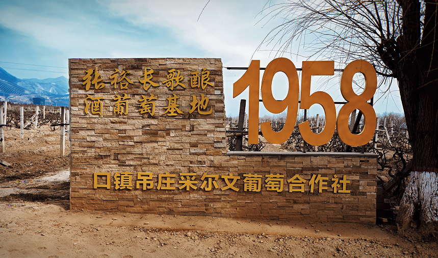 长歌AI葡萄酒体验中心开放！偏甜葡萄酒纷纷“涨停”(图11)