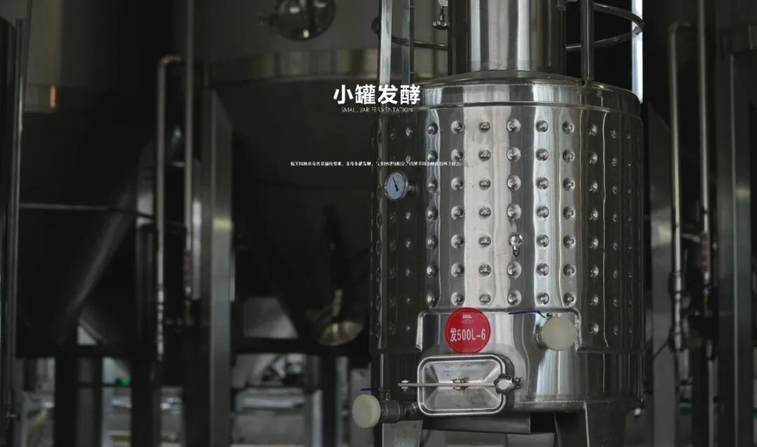 长歌AI葡萄酒体验中心开放！偏甜葡萄酒纷纷“涨停”(图20)