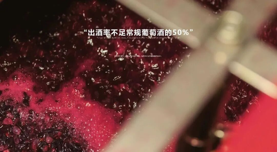 长歌AI葡萄酒体验中心开放！偏甜葡萄酒纷纷“涨停”(图22)