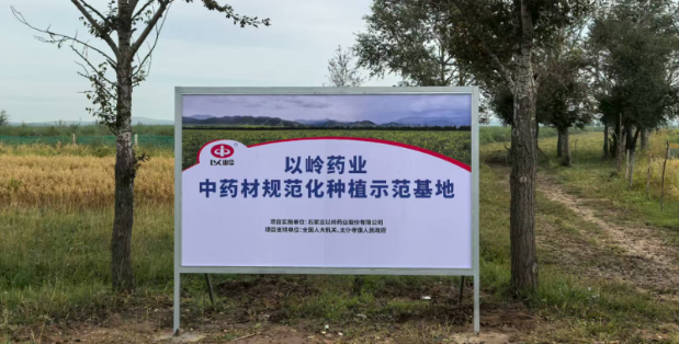以岭药业“黄芪”药材再签新基地，助力乡村振兴(图2)