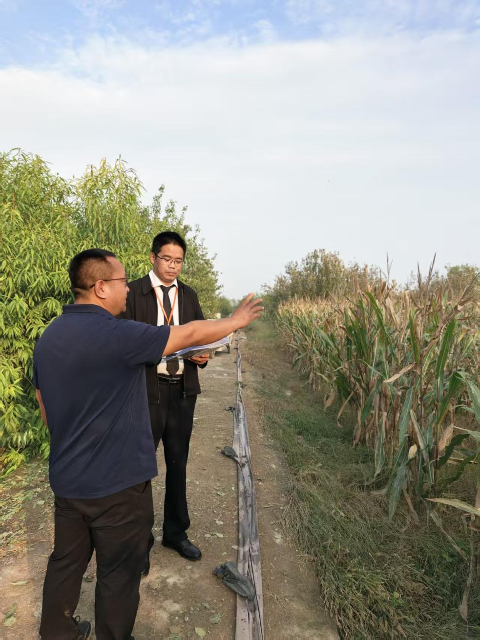 防秋汛保秋收 平安融易金融活水助农复产(图2)