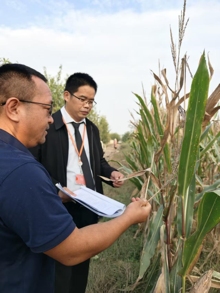 防秋汛保秋收 平安融易金融活水助农复产(图1)