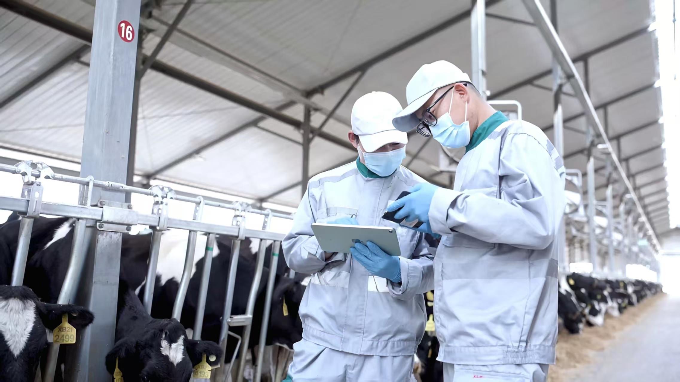 “全勤生”伊利八赴进博之约 谱写从追赶到超越的共赢篇章(图2) “全勤生”伊利八赴进博之约 谱写从追赶到超越的共赢篇章(图2)