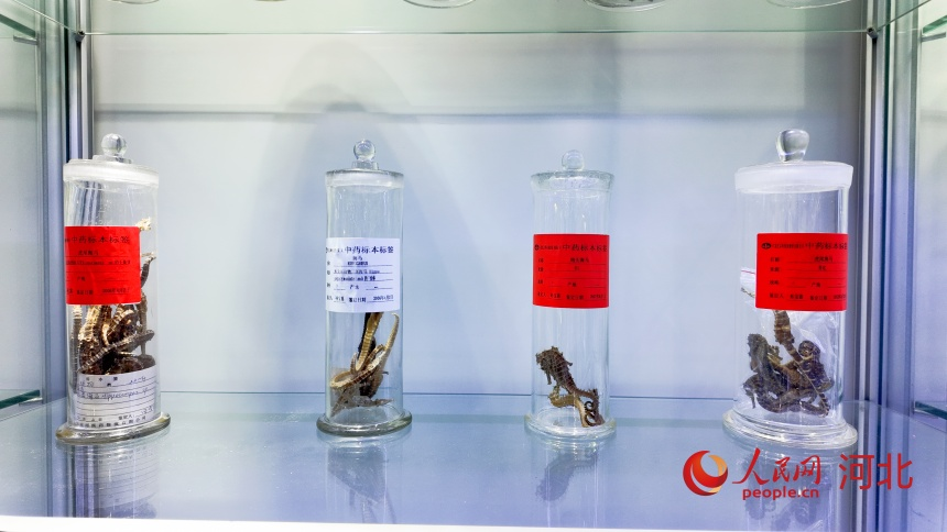 当古老药香遇上国际“金标”,以岭药业这样“闯世界”(图2) 当古老药香遇上国际“金标”,以岭药业这样“闯世界”(图2)