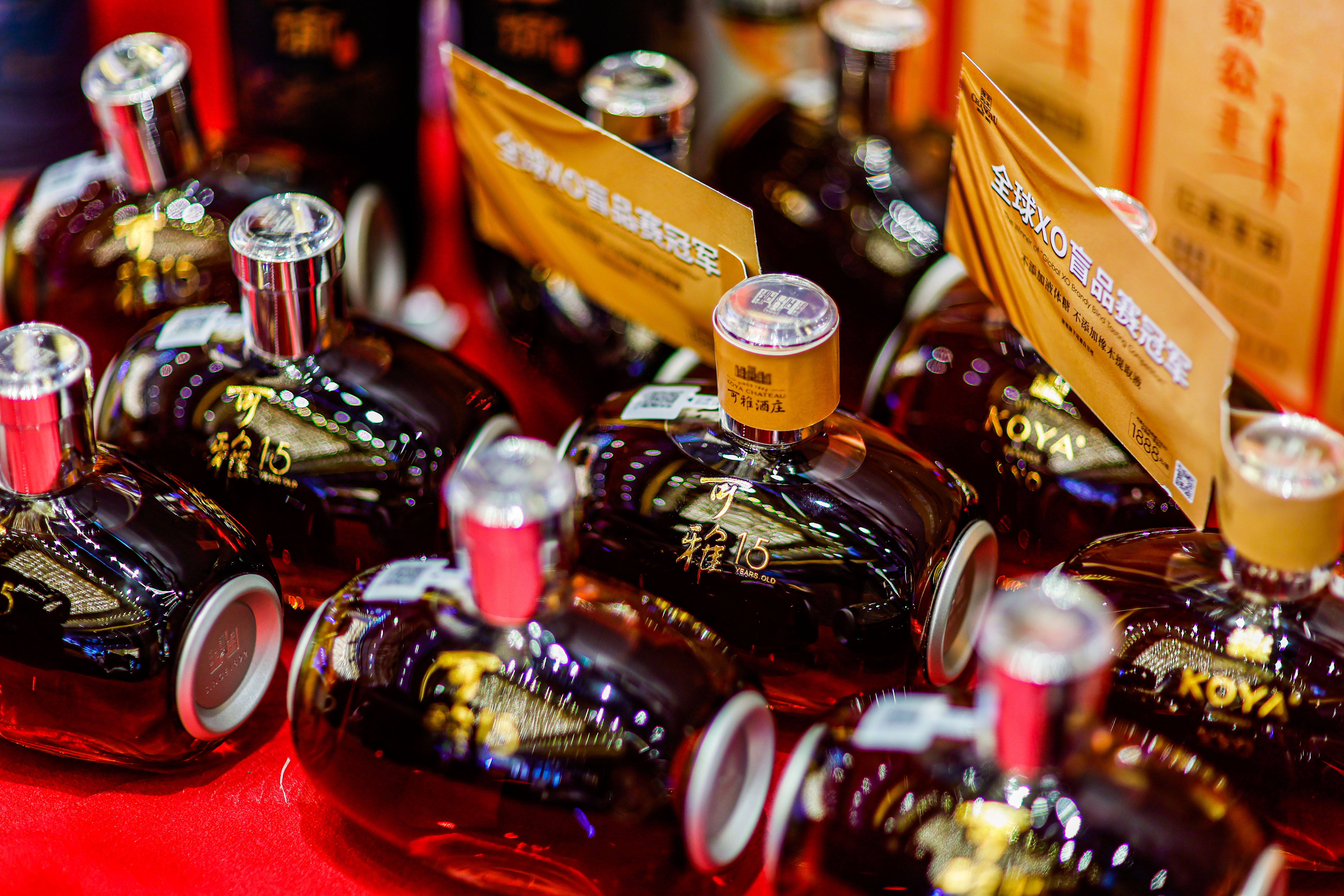 第七届世界客商大会上  这句话刷屏了！(图10)