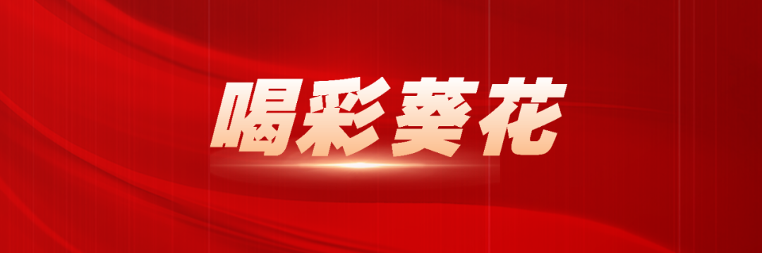 喜报 | 葵花药业荣膺2025福布斯中国“品牌卓越管理成就奖”(图1)