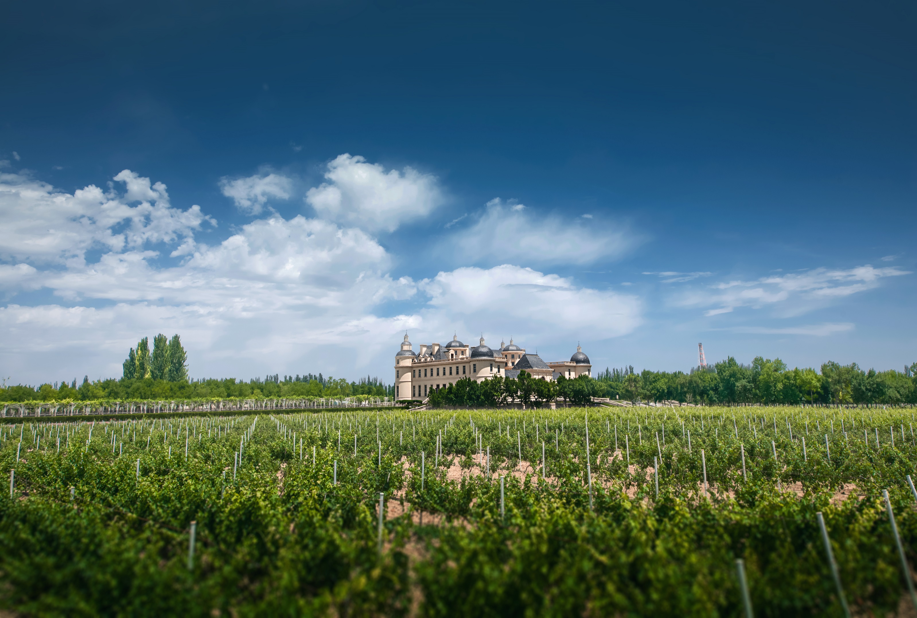 法国《葡萄酒评论》报道:《巴黎酒展的“东方时刻”:马克龙总统与龙谕的相遇》(图3) 法国《葡萄酒评论》报道:《巴黎酒展的“东方时刻”:马克龙总统与龙谕的相遇》(图3)