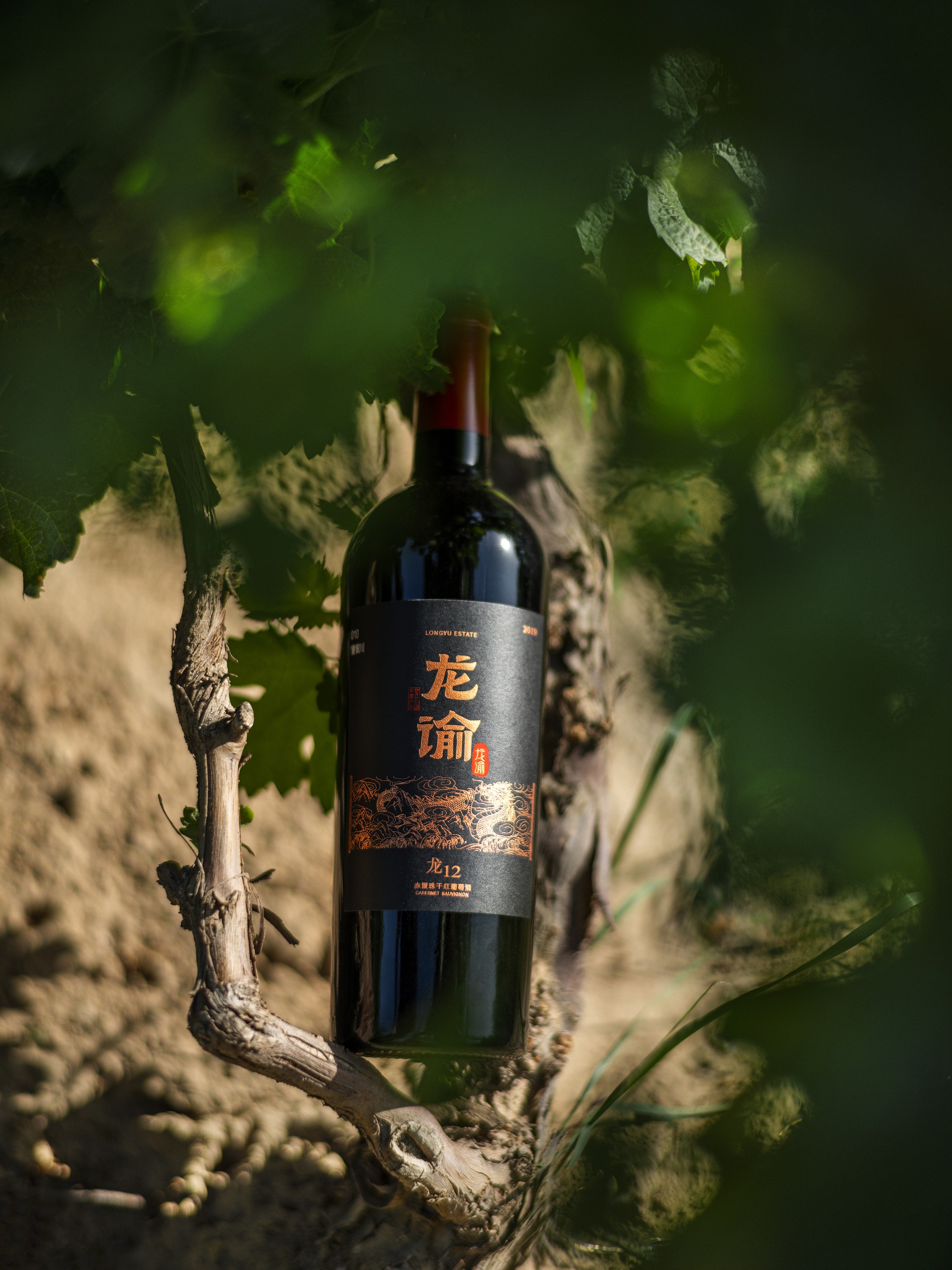 法国《葡萄酒评论》报道:《巴黎酒展的“东方时刻”:马克龙总统与龙谕的相遇》(图2) 法国《葡萄酒评论》报道:《巴黎酒展的“东方时刻”:马克龙总统与龙谕的相遇》(图2)