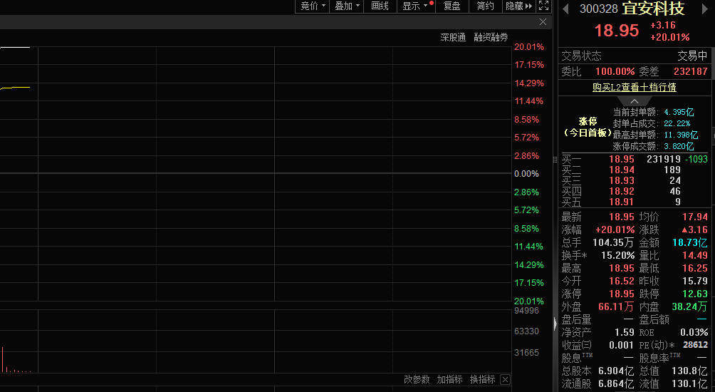镁需求有望大幅提升，宜安科技股价20CM涨停(图1)