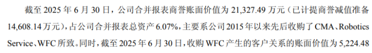 “失血”未止仍激进收购,资金捉襟见肘,埃夫特押注IPO折戟企业胜算几何(图2) “失血”未止仍激进收购,资金捉襟见肘,埃夫特押注IPO折戟企业胜算几何(图2)