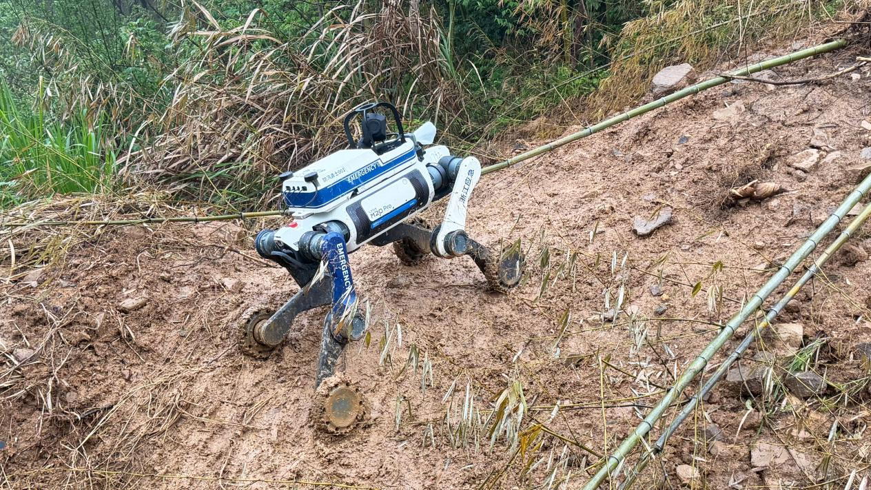 云深处×浙江省应急厅联手发布全国首个防汛防台具身机器人“AI防汛勇士”(图2)