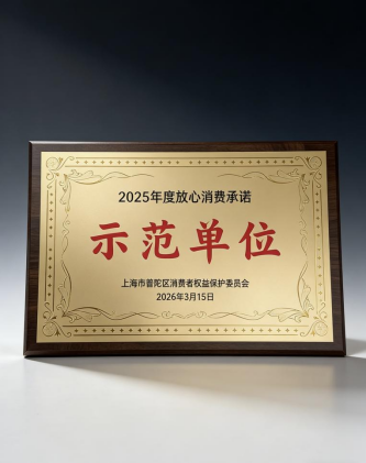 放心消费标杆！一嗨租车荣膺上海市普陀区2025年度放心消费承诺示范单位(图1)