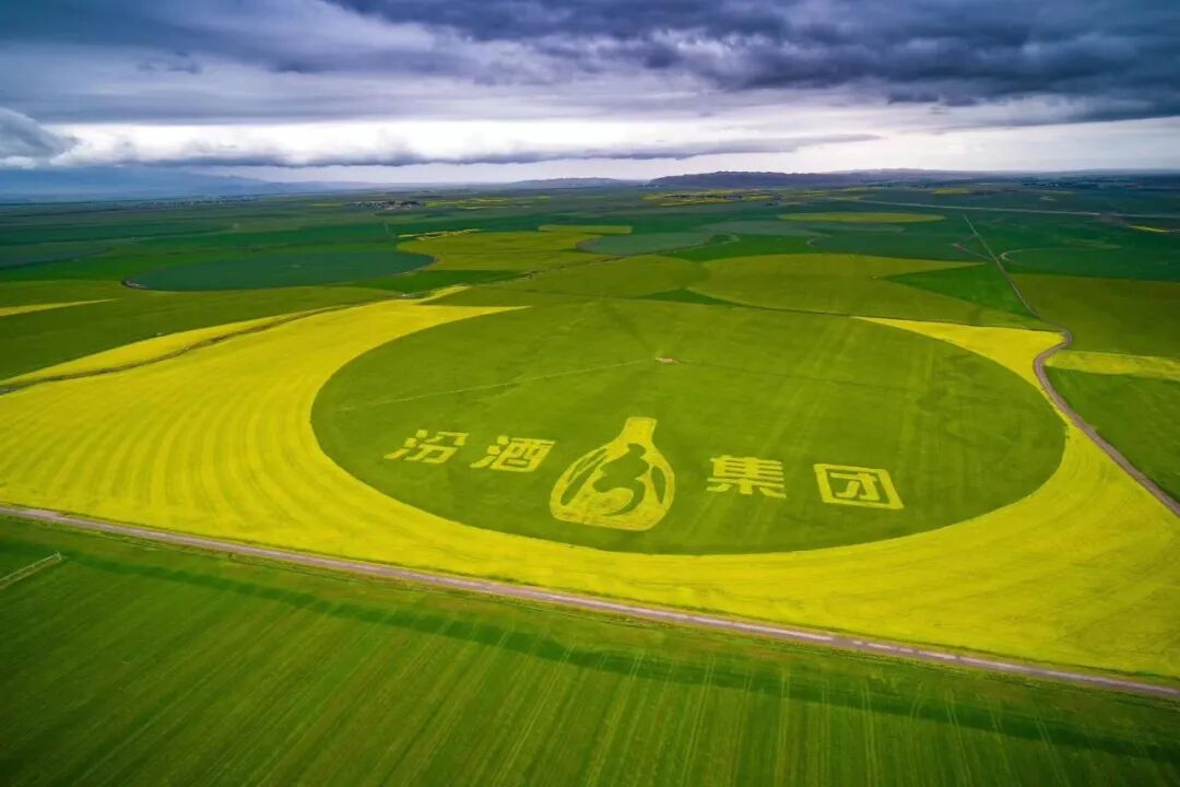 汾酒一季度报：产品力，才是穿越周期的硬通货(图1)