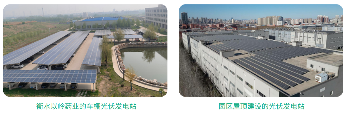 以岭药业发布2025环境、社会及治理报告，久久为功赋能可持续高质量发展(图2)