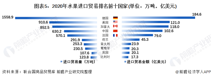 【创新视角】2021年全球水果进出口贸易分析 完美电竞香蕉鳄梨苹果是主要进出口品类(图5)