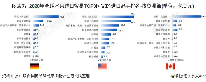 【创新视角】2021年全球水果进出口贸易分析 完美电竞香蕉鳄梨苹果是主要进出口品类(图7)