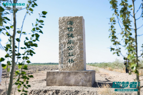 此次,海信中央空调来到的阳关林场,是我国西锁沙龙,东保绿洲的防风