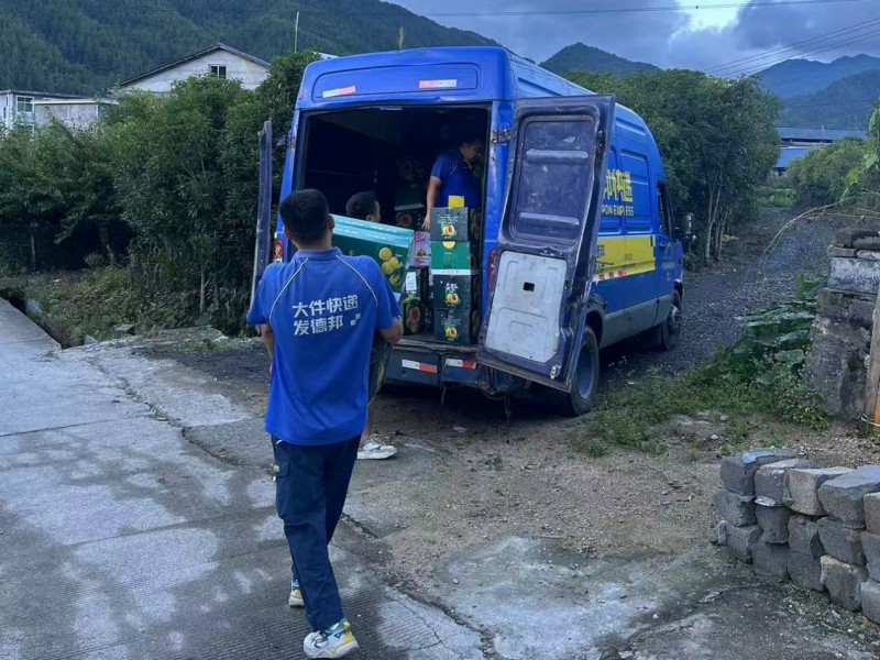 德邦快递护航炎陵黄桃丰收季 山货出山换新路