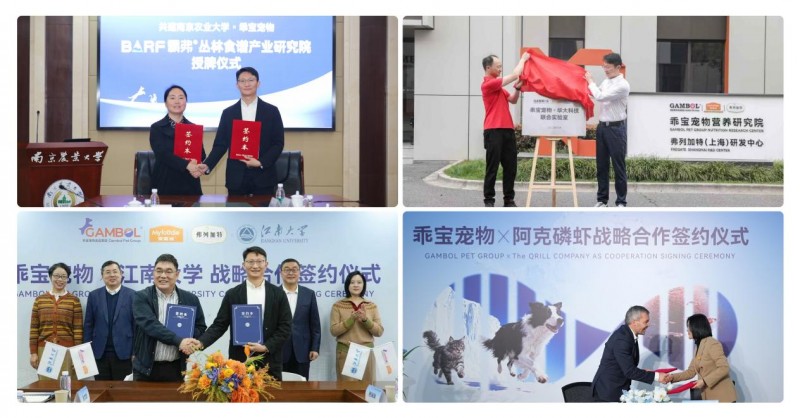 稳居中国宠食第一品牌：解码乖宝宠物麦富迪护城河