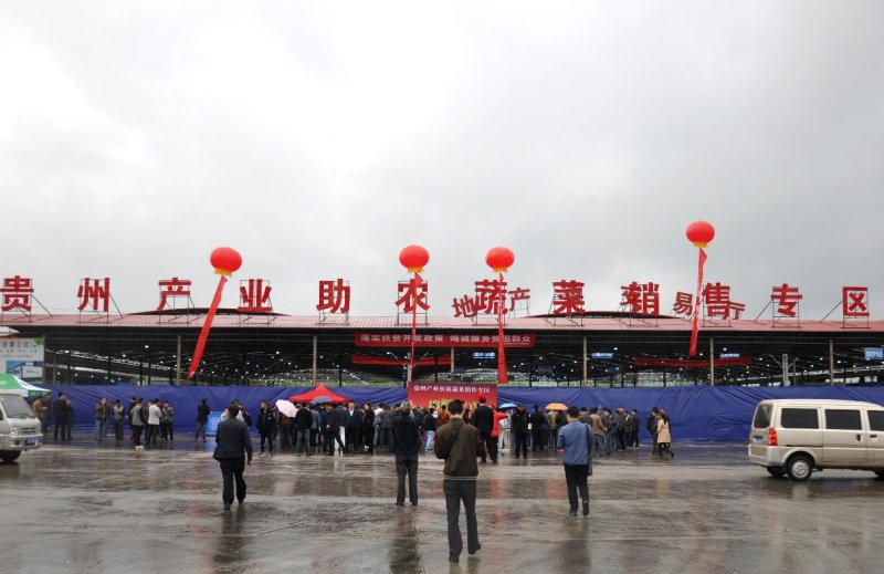 地利集团坚守农产品流通二十载践行实业报国梦