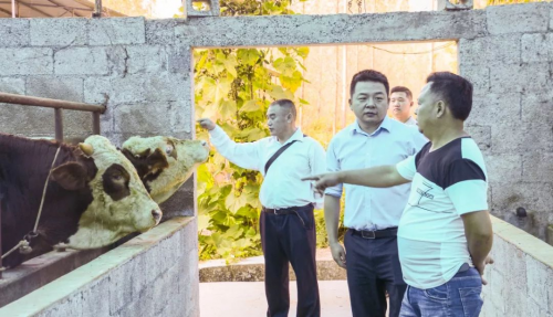 海尔的gdp_海尔兄弟图片(2)