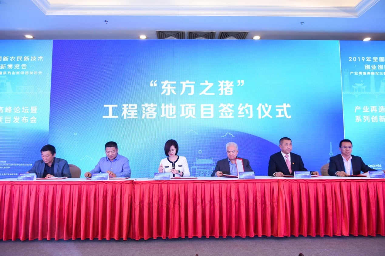 他和创始人雷文东经过数年的配种实验,最终成功培育出了理想中的新