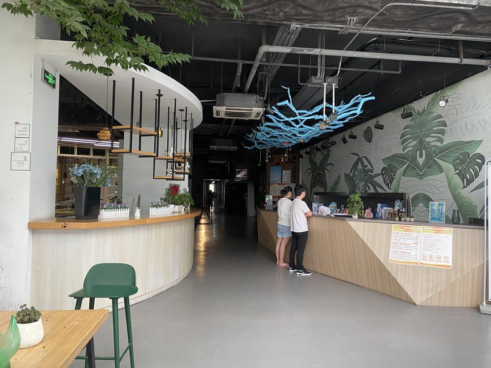 长租公寓爆雷不断湾流国际打游击车建新郑永刚都踩坑